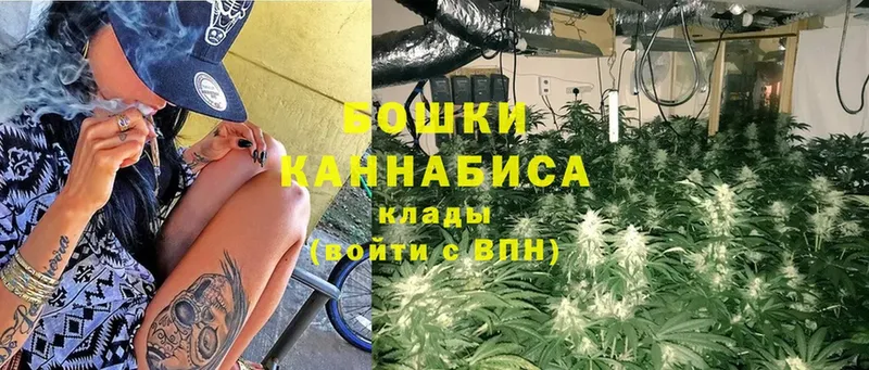 где купить наркоту  Фролово  Конопля SATIVA & INDICA 